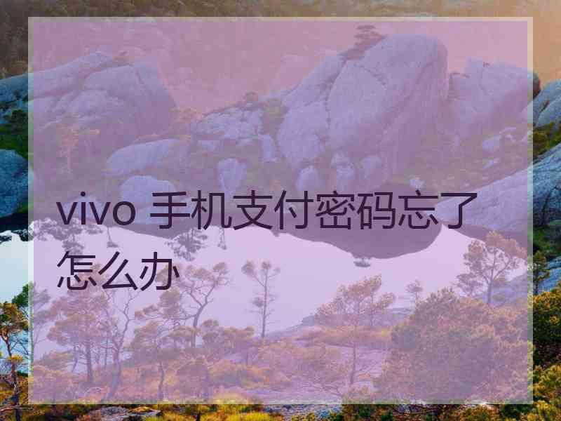 vivo 手机支付密码忘了怎么办