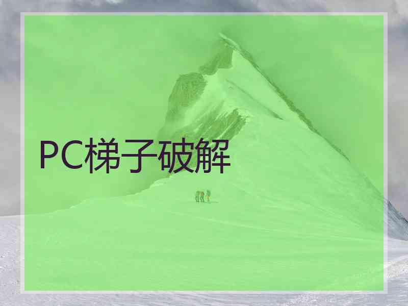 PC梯子破解