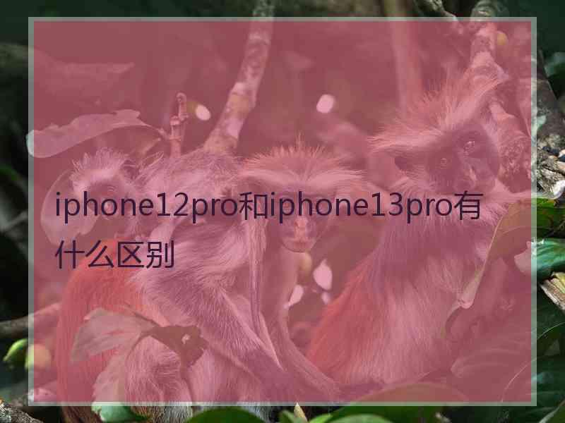 iphone12pro和iphone13pro有什么区别