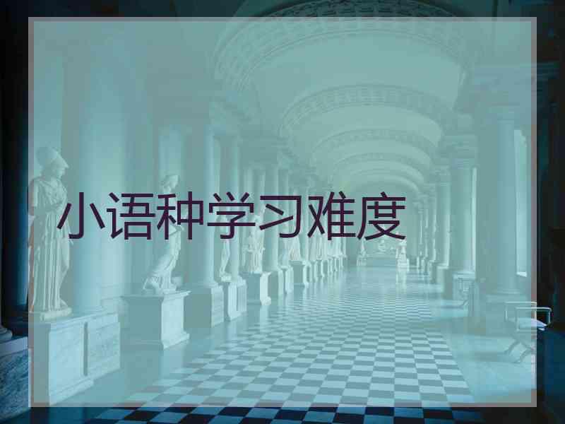 小语种学习难度