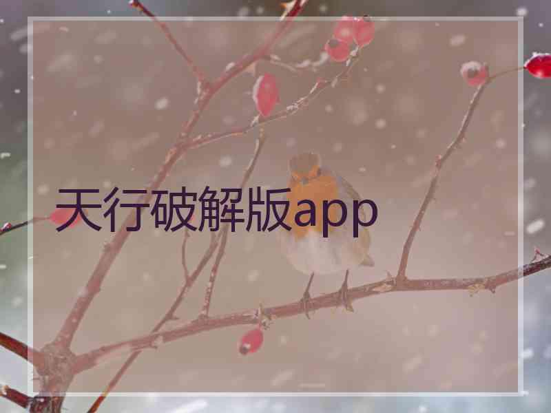 天行破解版app