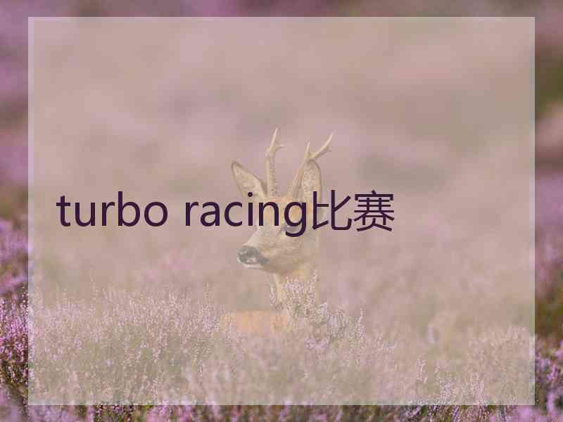 turbo racing比赛