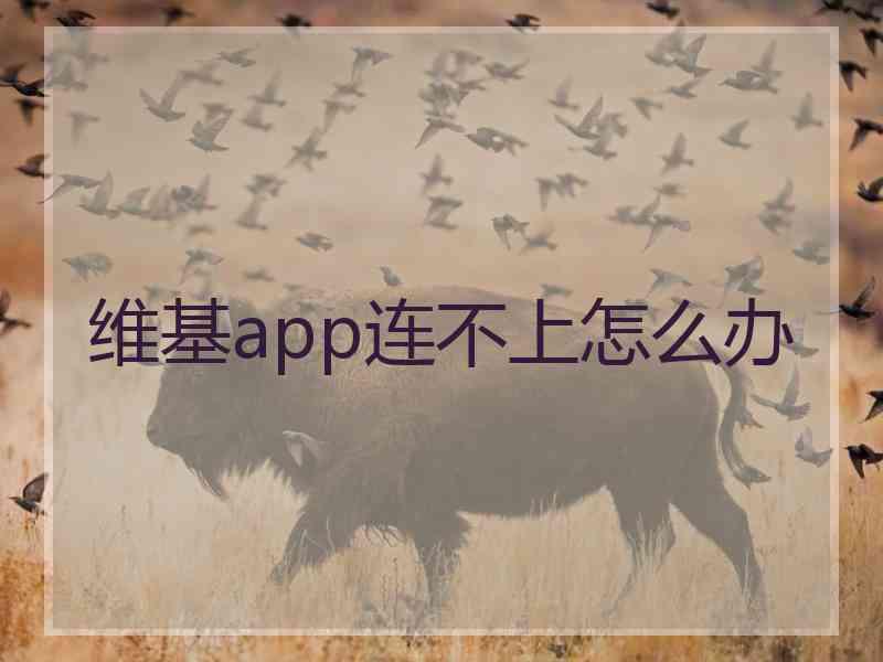 维基app连不上怎么办