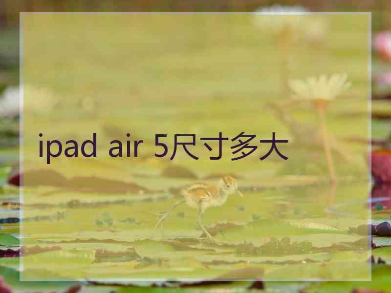 ipad air 5尺寸多大