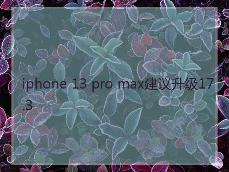 iphone 13 pro max建议升级17.3