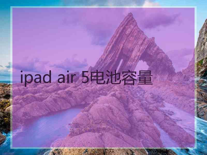 ipad air 5电池容量