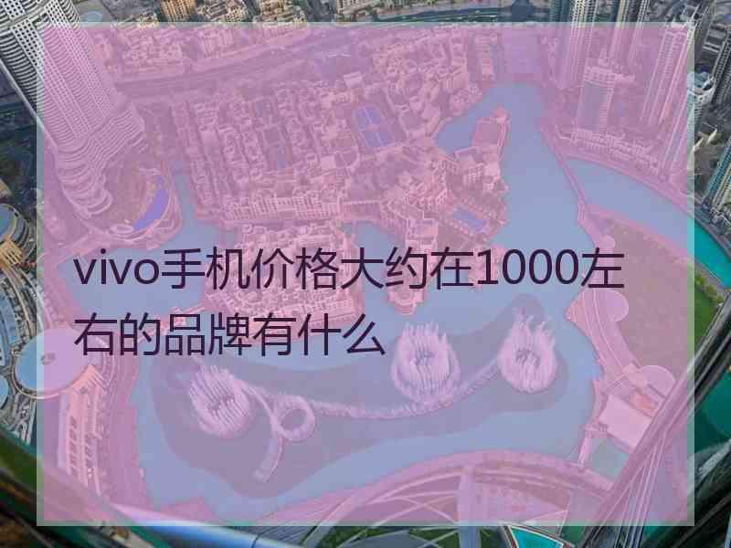 vivo手机价格大约在1000左右的品牌有什么