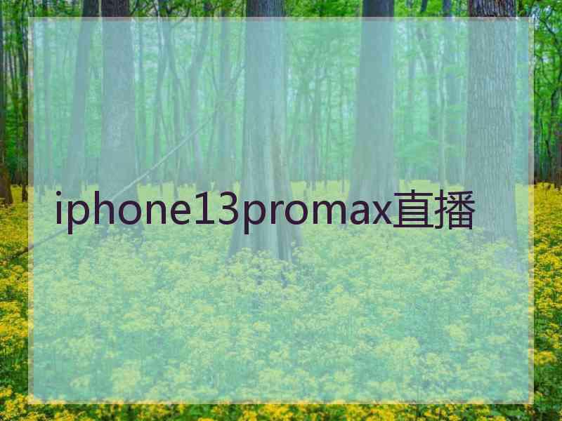 iphone13promax直播