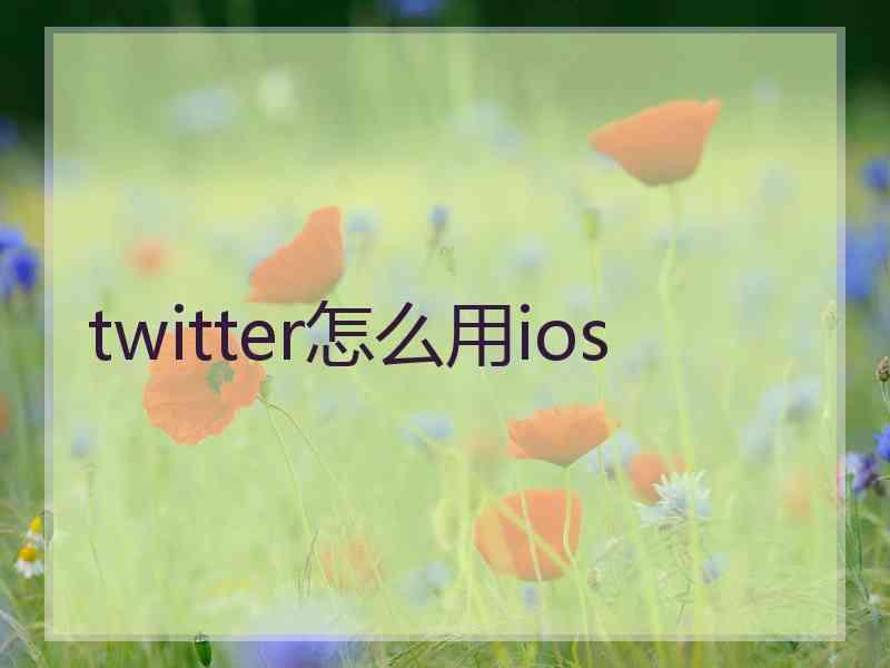 twitter怎么用ios