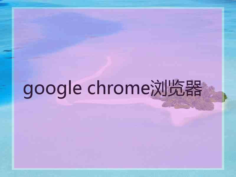 google chrome浏览器