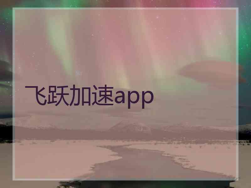 飞跃加速app