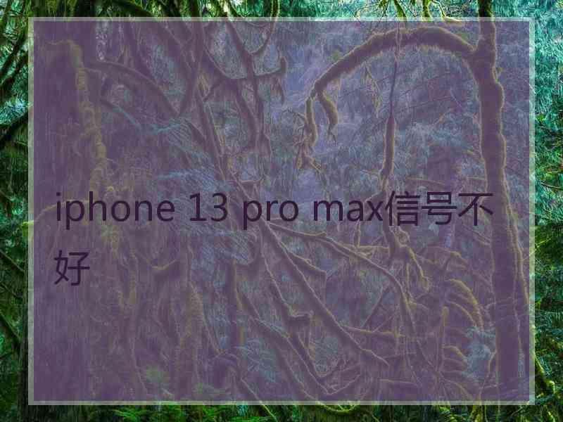 iphone 13 pro max信号不好