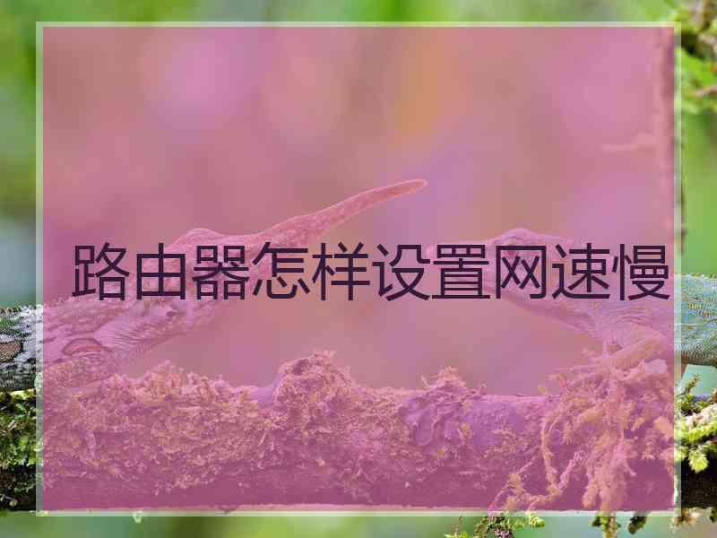 路由器怎样设置网速慢