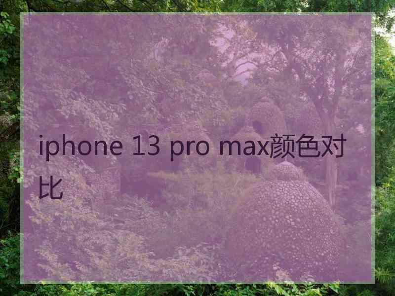 iphone 13 pro max颜色对比