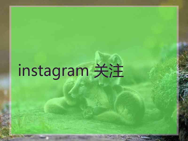 instagram 关注