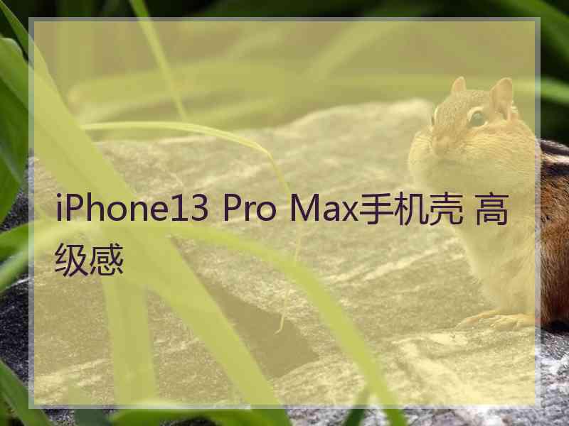 iPhone13 Pro Max手机壳 高级感