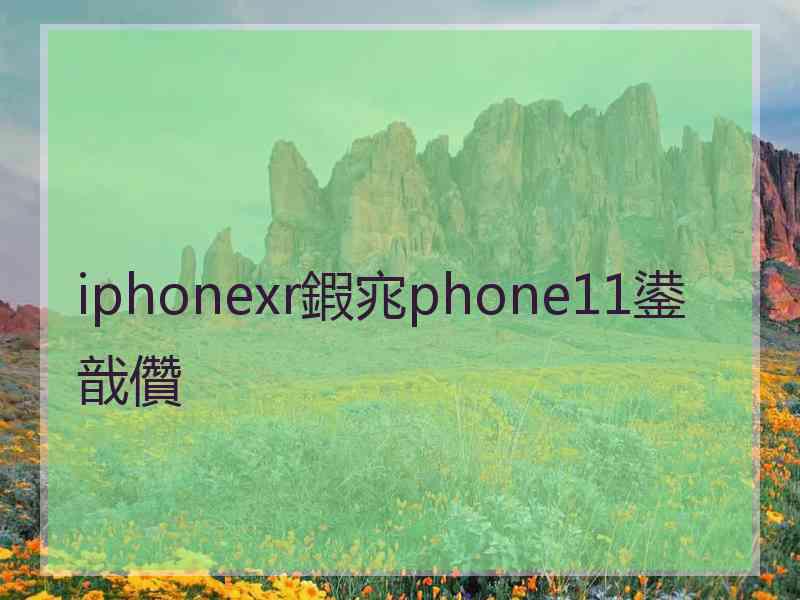 iphonexr鍜宨phone11鍙戠儹