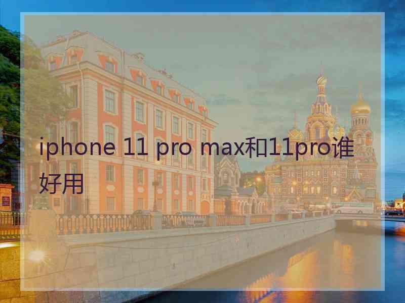 iphone 11 pro max和11pro谁好用