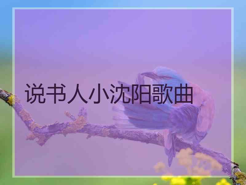 说书人小沈阳歌曲