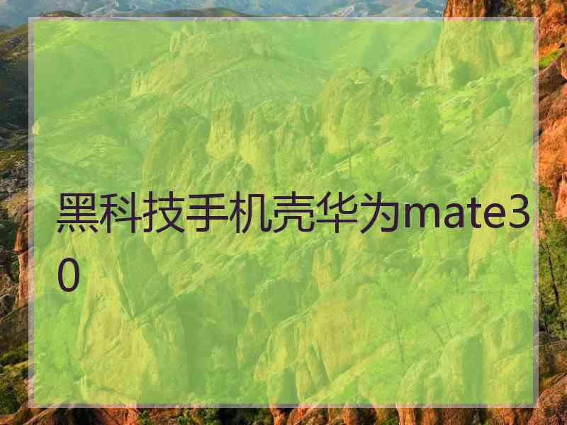 黑科技手机壳华为mate30