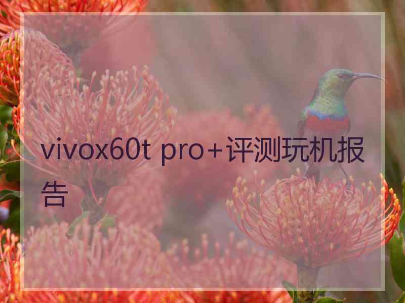 vivox60t pro+评测玩机报告