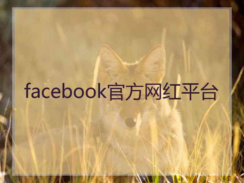 facebook官方网红平台