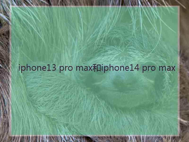 iphone13 pro max和iphone14 pro max