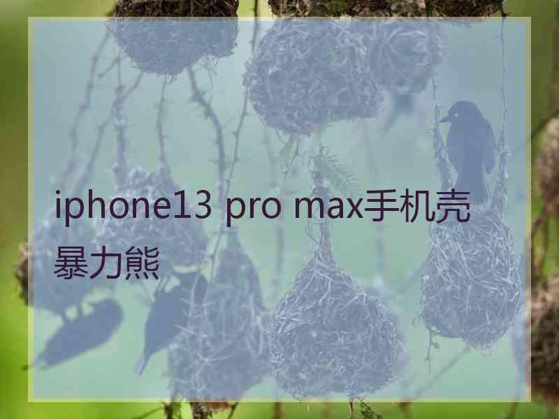 iphone13 pro max手机壳暴力熊