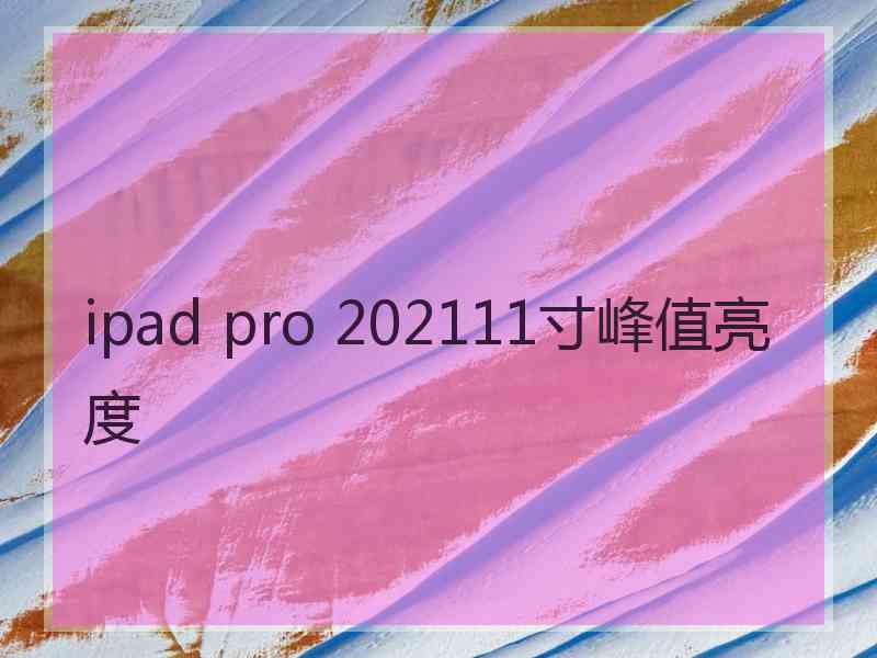 ipad pro 202111寸峰值亮度