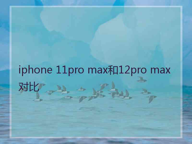 iphone 11pro max和12pro max对比