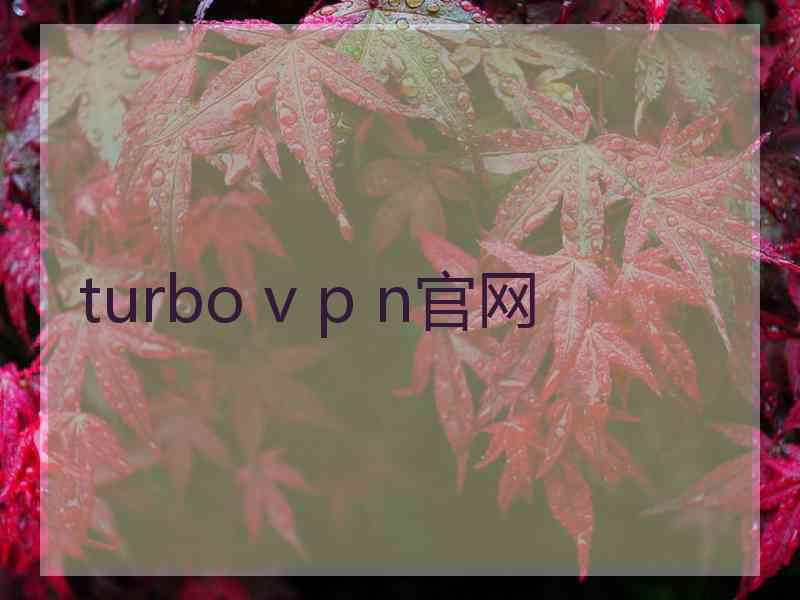 turbo v p n官网