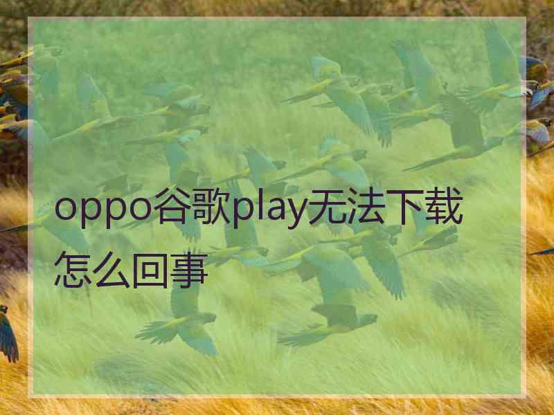 oppo谷歌play无法下载怎么回事