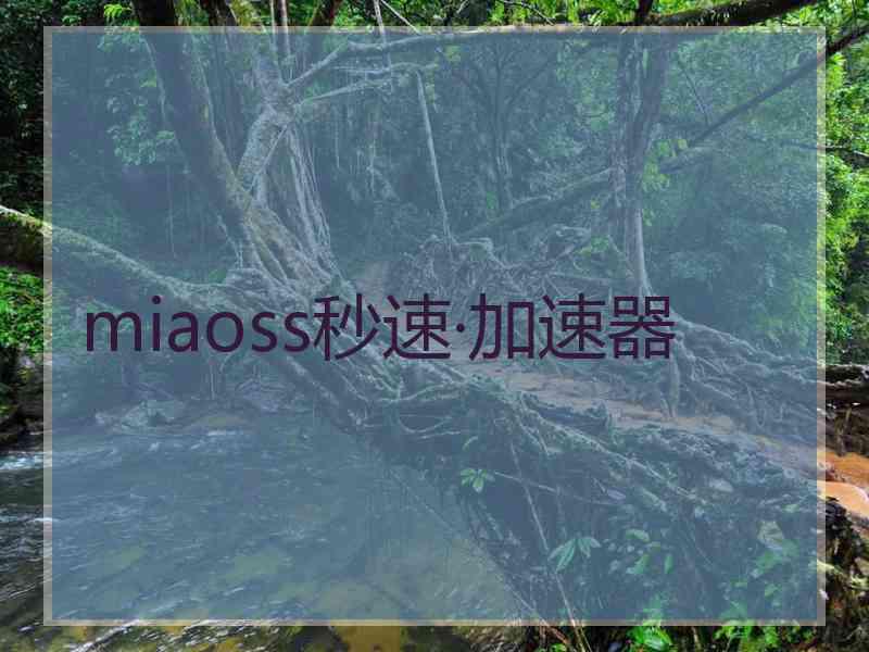 miaoss秒速·加速器