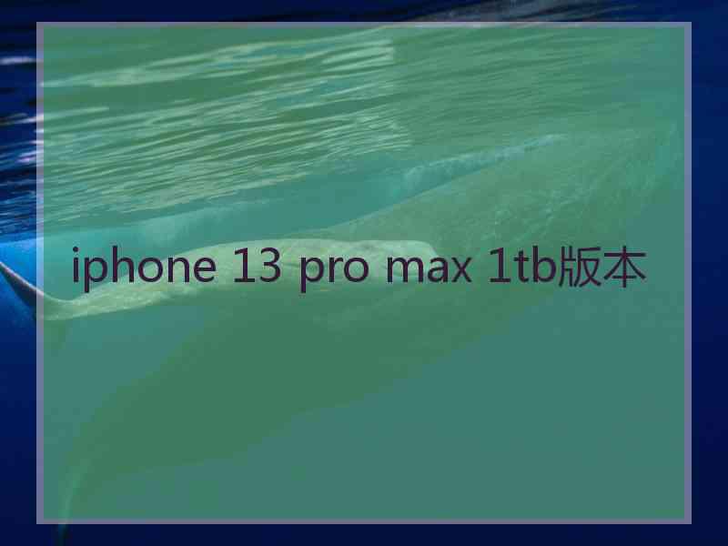 iphone 13 pro max 1tb版本