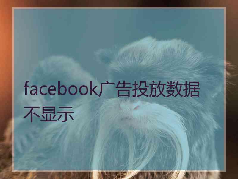 facebook广告投放数据不显示