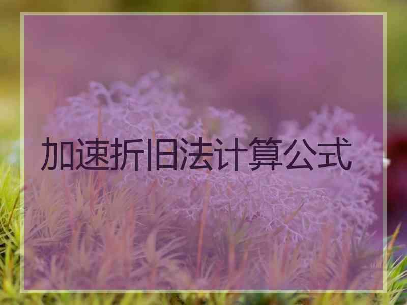 加速折旧法计算公式