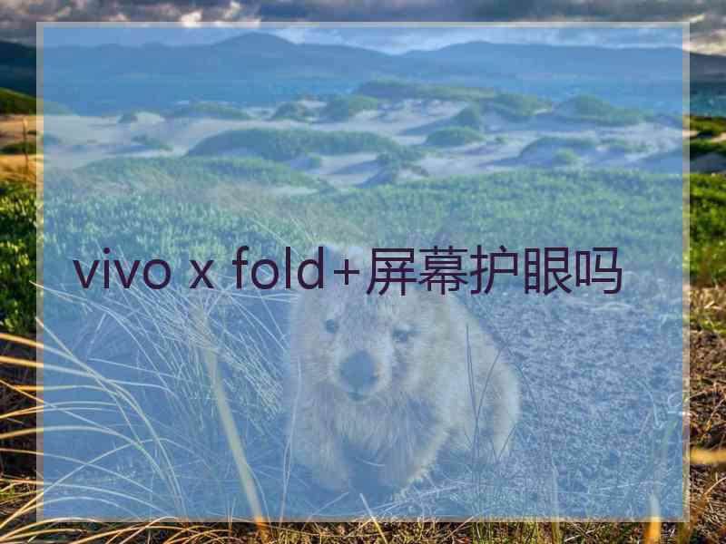 vivo x fold+屏幕护眼吗