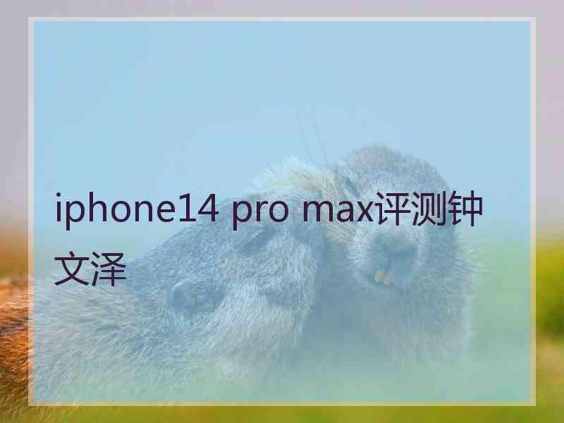 iphone14 pro max评测钟文泽