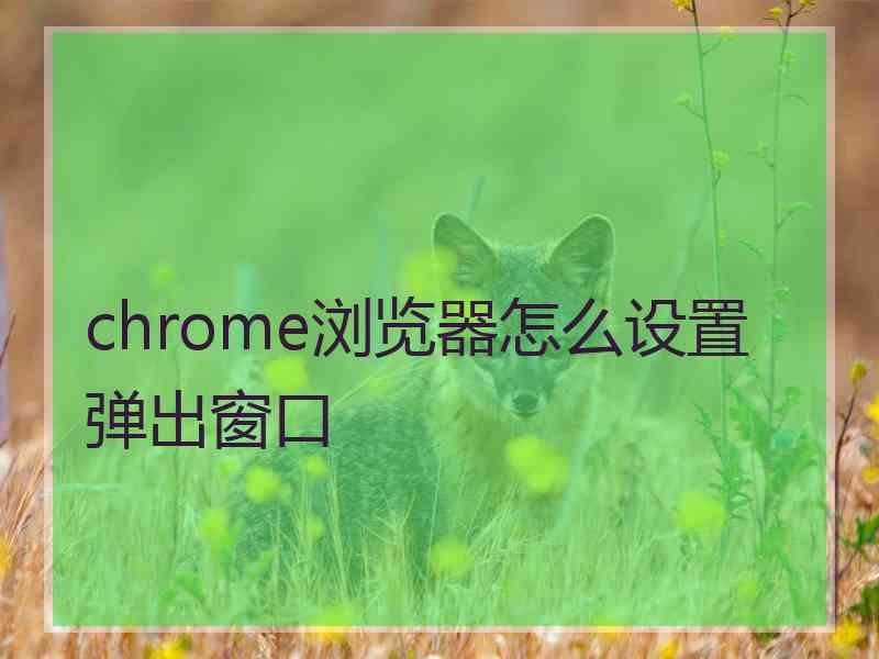 chrome浏览器怎么设置弹出窗口