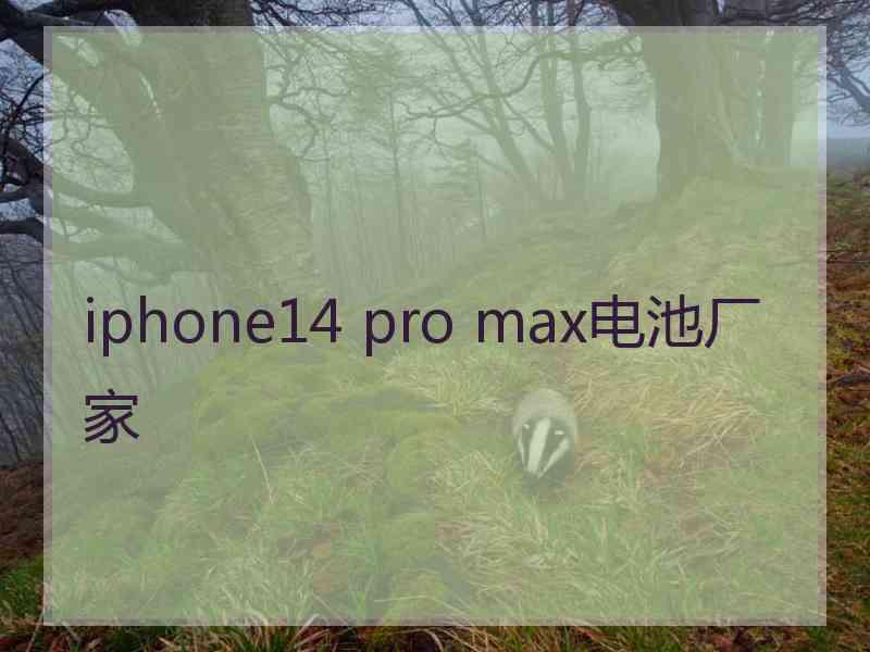 iphone14 pro max电池厂家