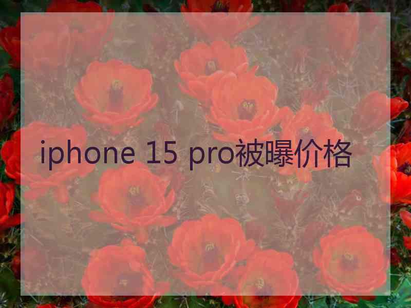 iphone 15 pro被曝价格