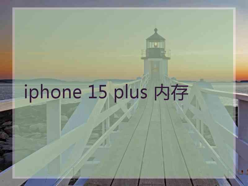 iphone 15 plus 内存