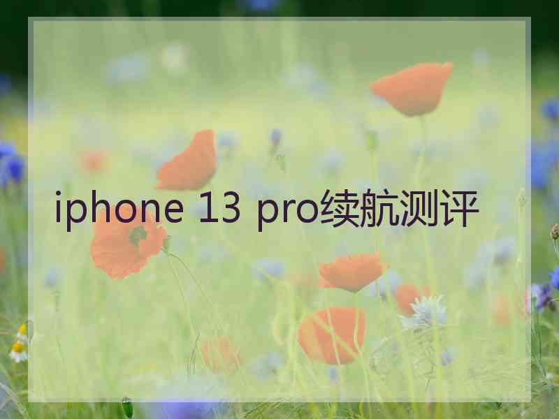 iphone 13 pro续航测评