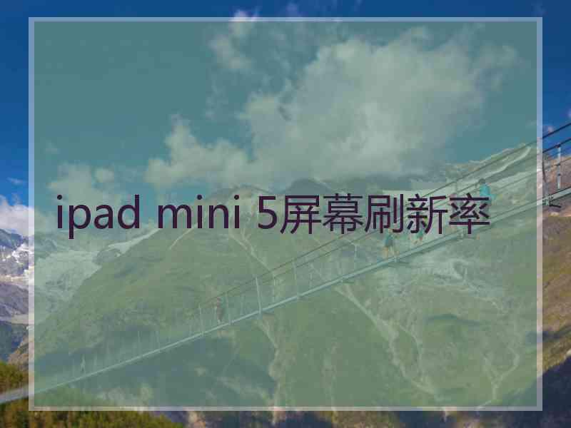 ipad mini 5屏幕刷新率