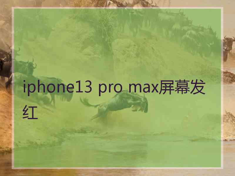 iphone13 pro max屏幕发红