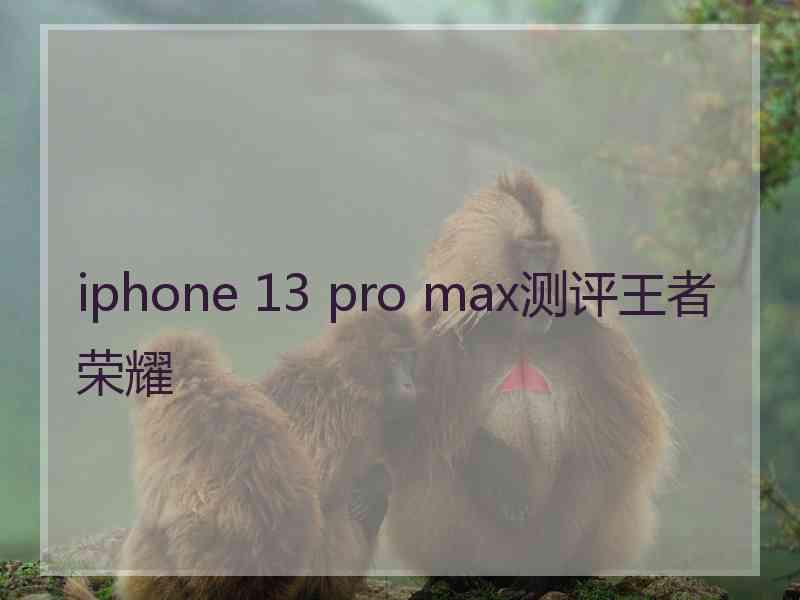 iphone 13 pro max测评王者荣耀