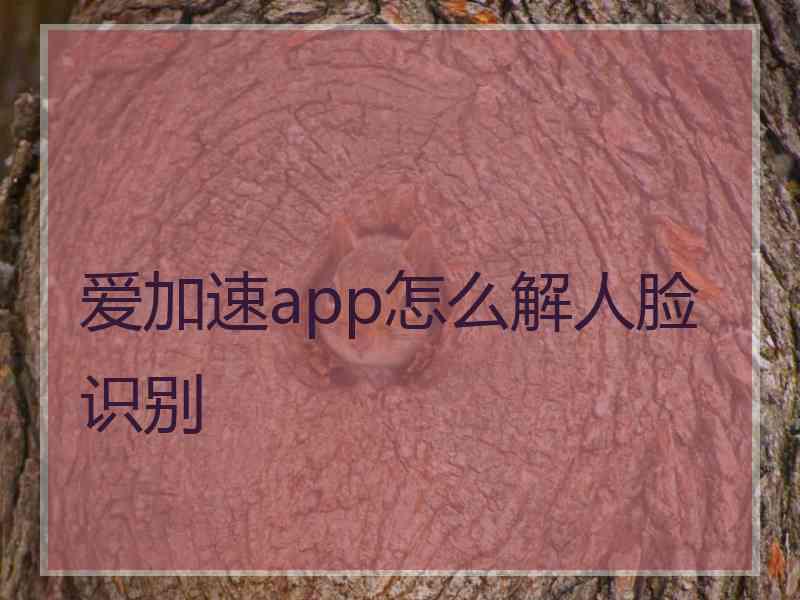 爱加速app怎么解人脸识别