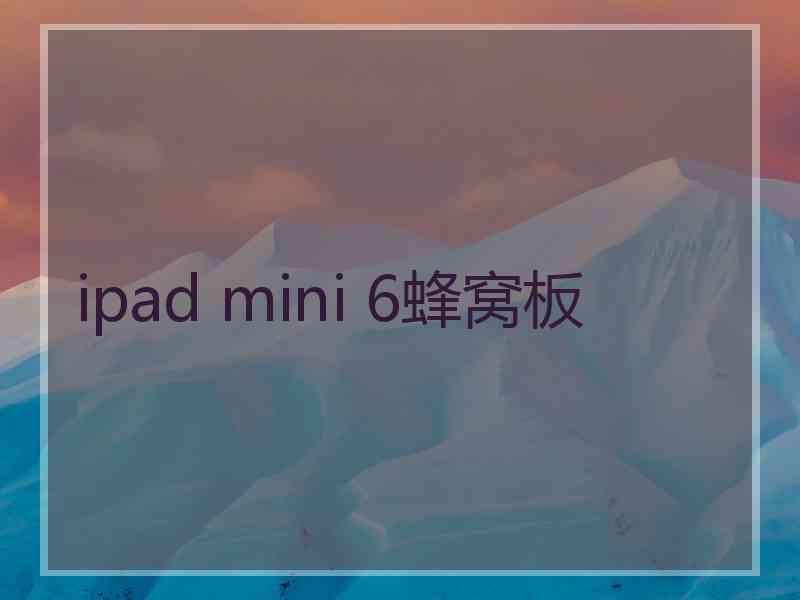 ipad mini 6蜂窝板