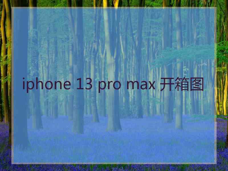 iphone 13 pro max 开箱图