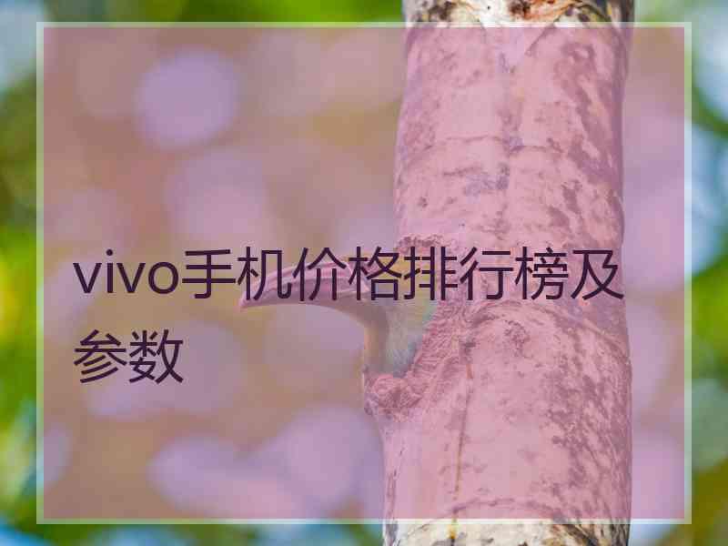 vivo手机价格排行榜及参数